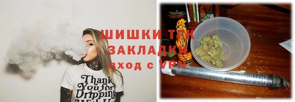гашик Арсеньев