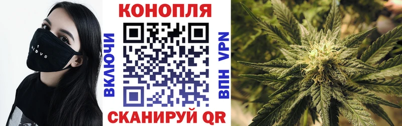как найти   Курган  мега маркетплейс  МАРИХУАНА OG Kush 